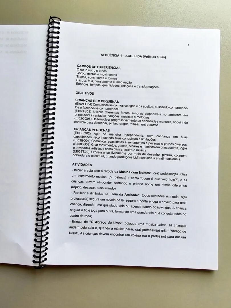 Planos de Aula Educação Infantil - Imagem 2