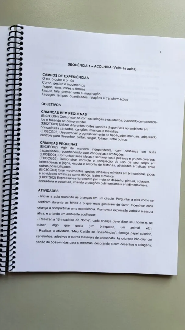 Plano de Aula Educação Infantil Vol.1 - Imagem 3